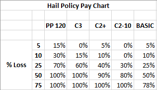 Hail Policy Pay Chart